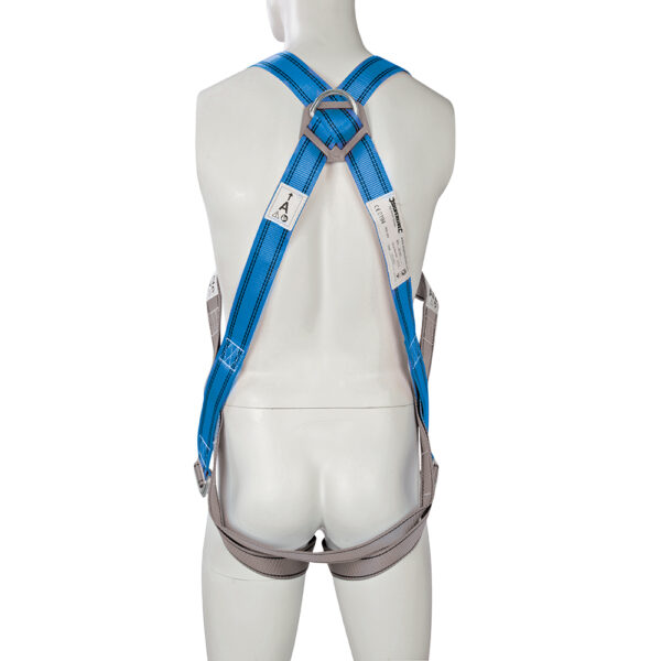 Dorsal attachment D-ring & front attachment webbing loops