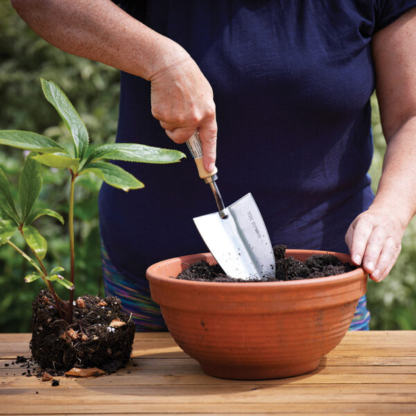 borders & pots