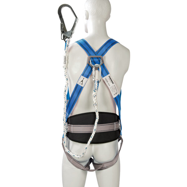 Harness with dorsal & lateral attachment D-rings